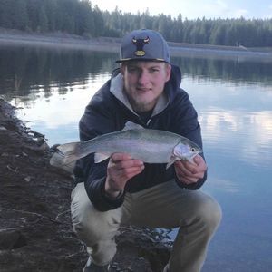 Meet your Posher, Trevor